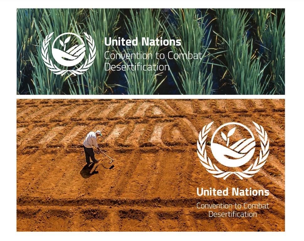 United Nations Convention to Combat Desertification: Rebrand