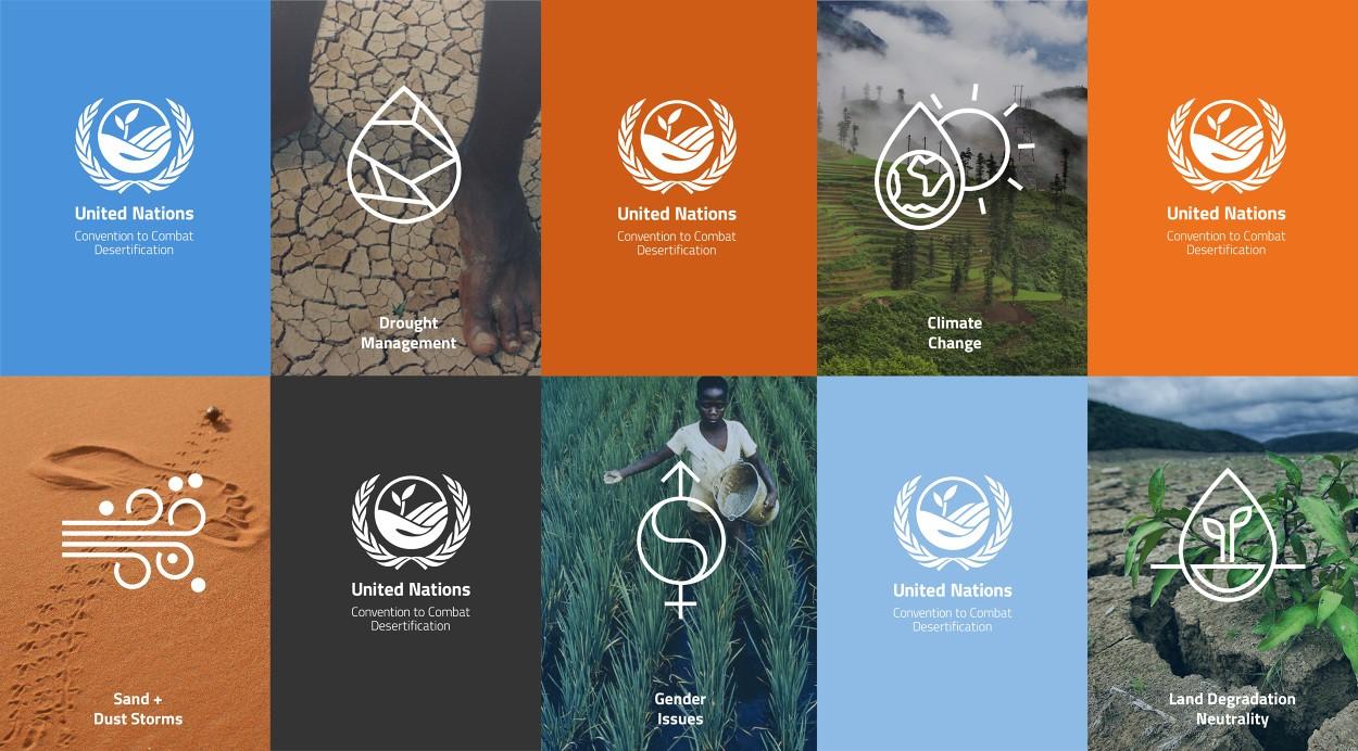 United Nations Convention to Combat Desertification: Rebrand