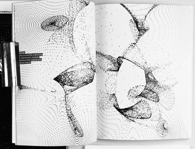 The Peter Cannings Prize