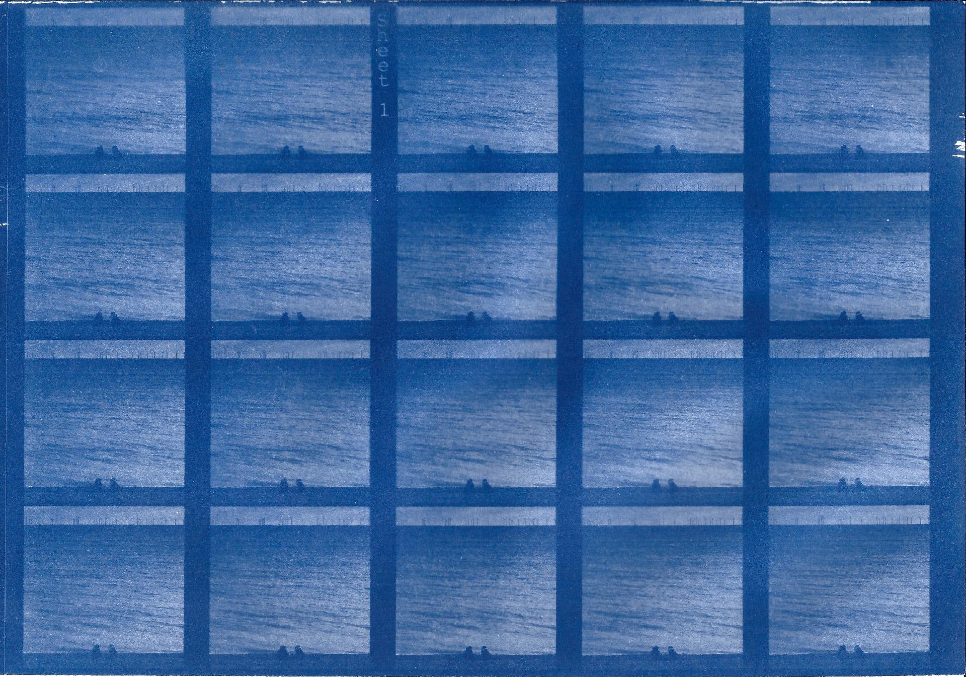 cyanotype print