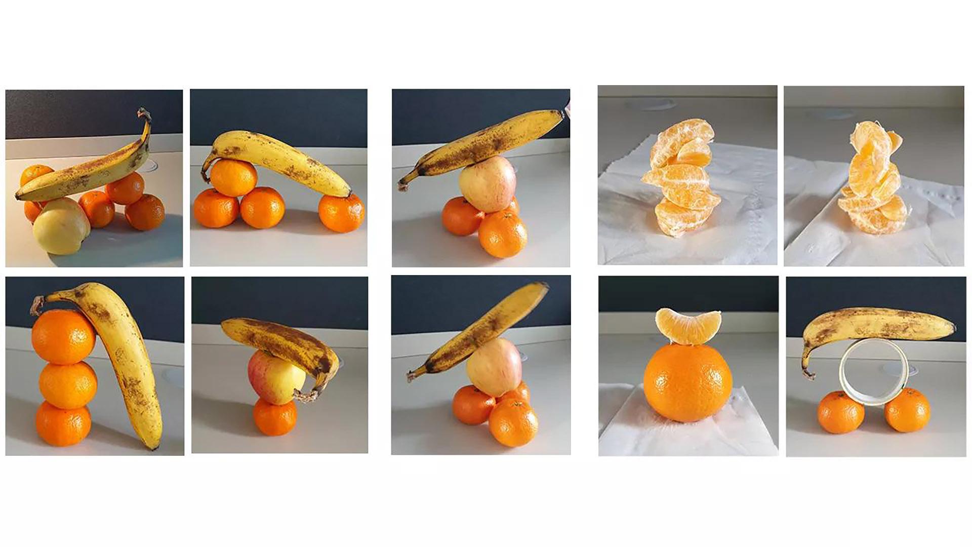 Fruit