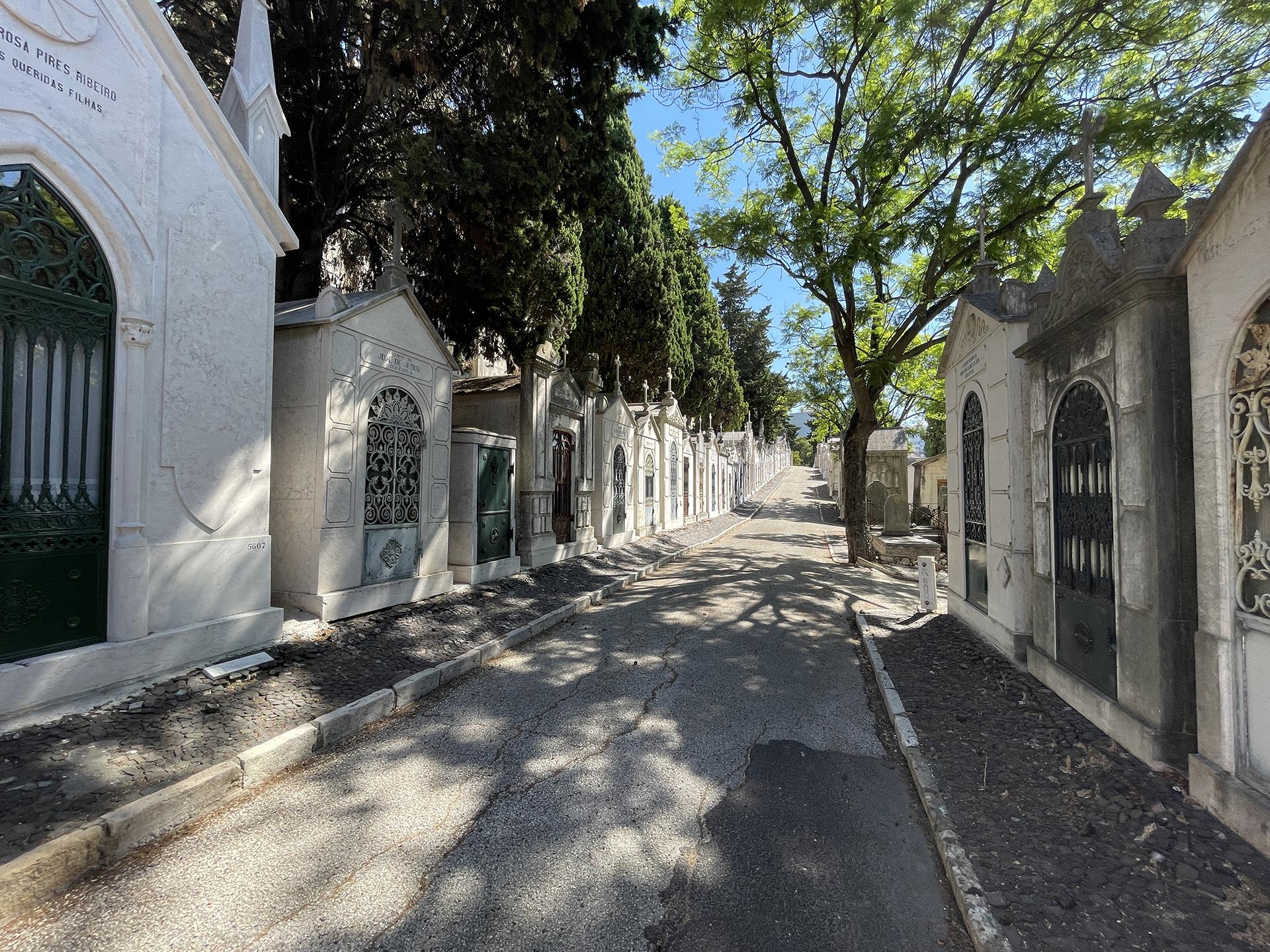 Photo: view of Prazeres Cemetery – large mausoleums on either side of a path.