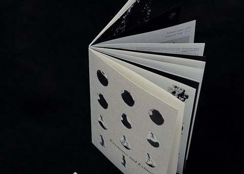 Shiyu Zhan show image