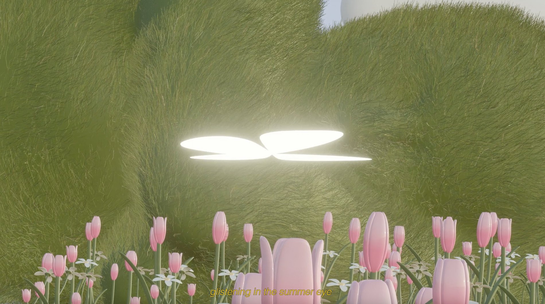 Have you visited the tulip farm?