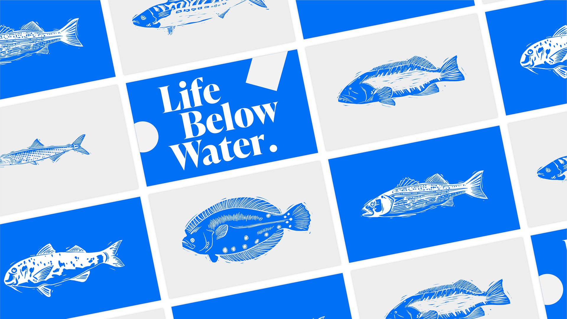 Life Below Water