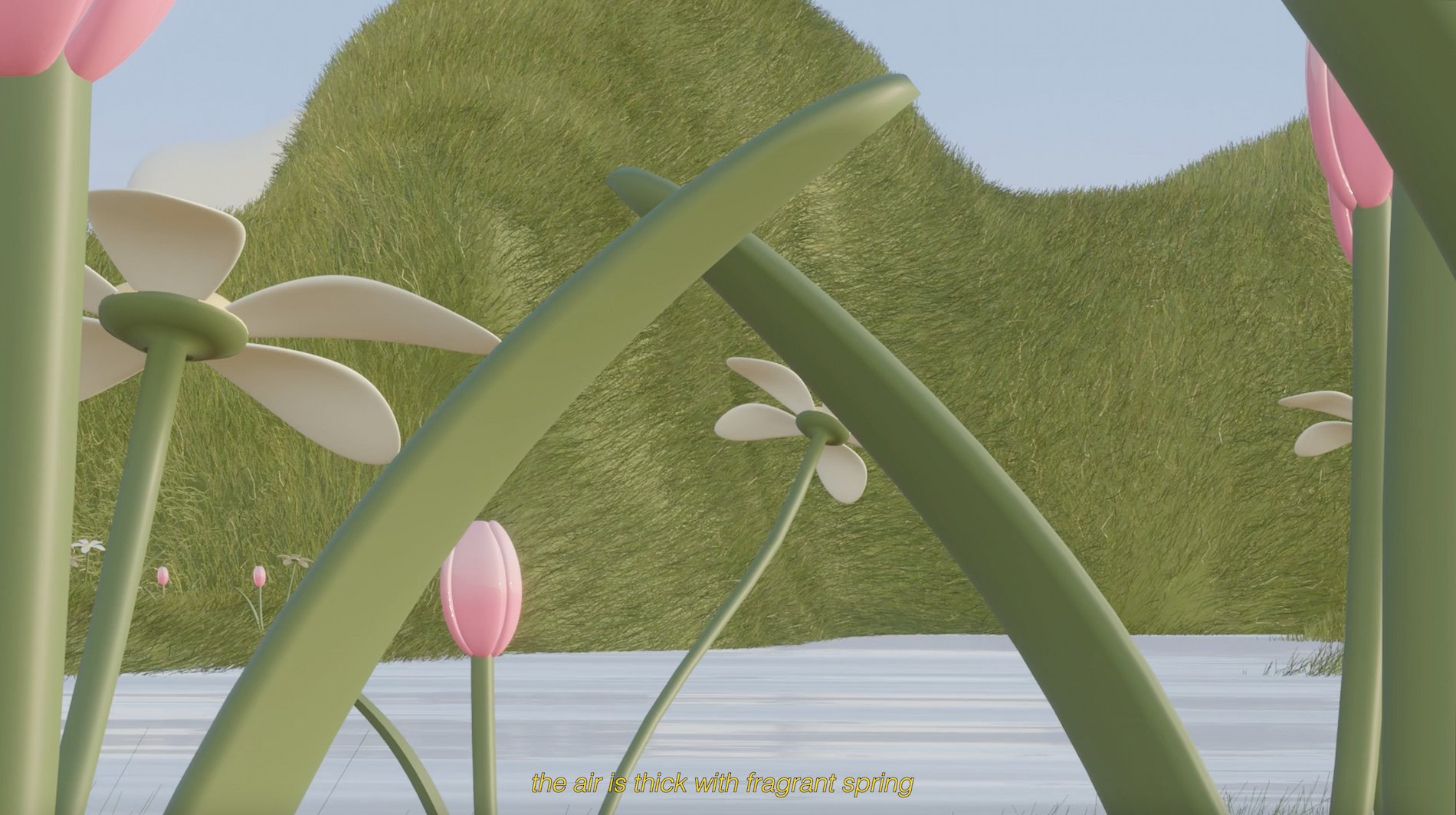 Have you visited the tulip farm?