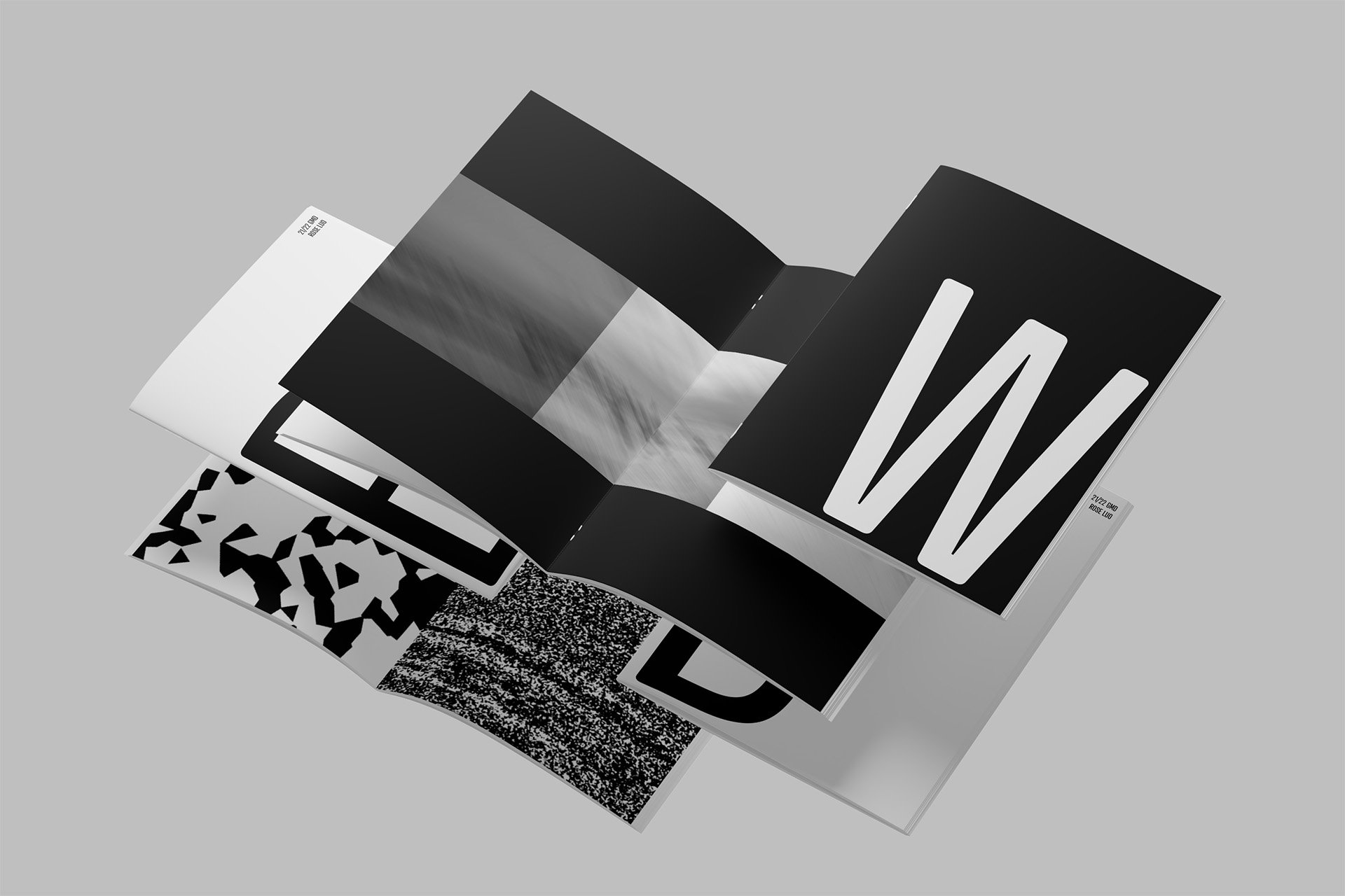 Interpolate: Black and White: Grey and Space
