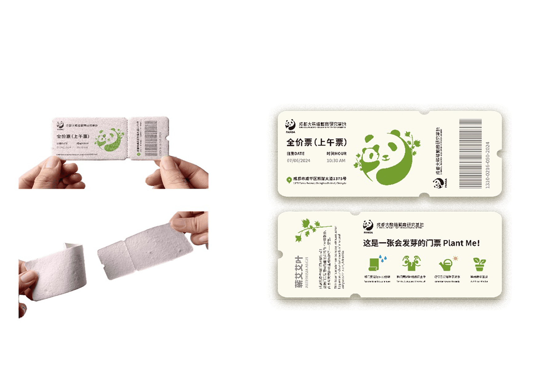 BambooCycle: From Panda Waste to Plantable Tickets