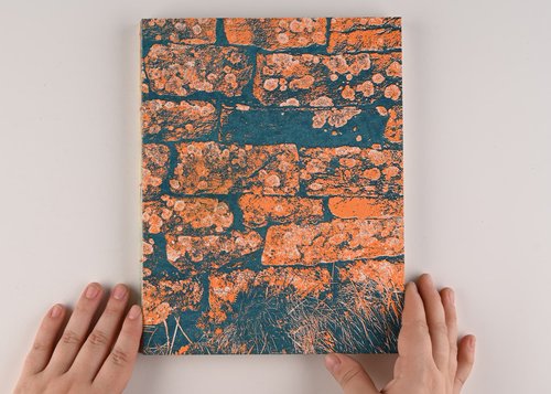 Michaela Maloney show image
