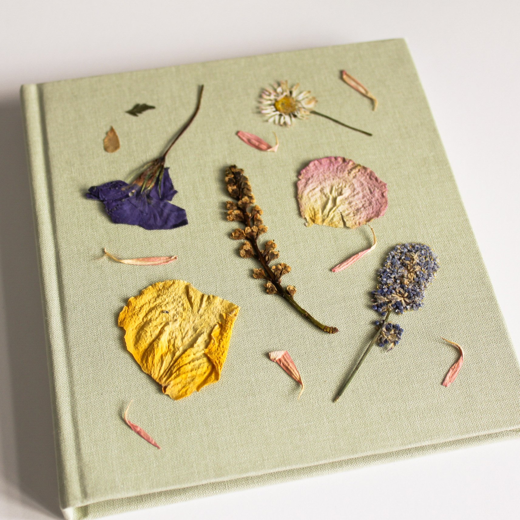 Anthology of Sentiments