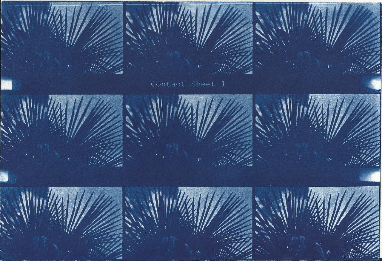 Cyanotype Film Funded