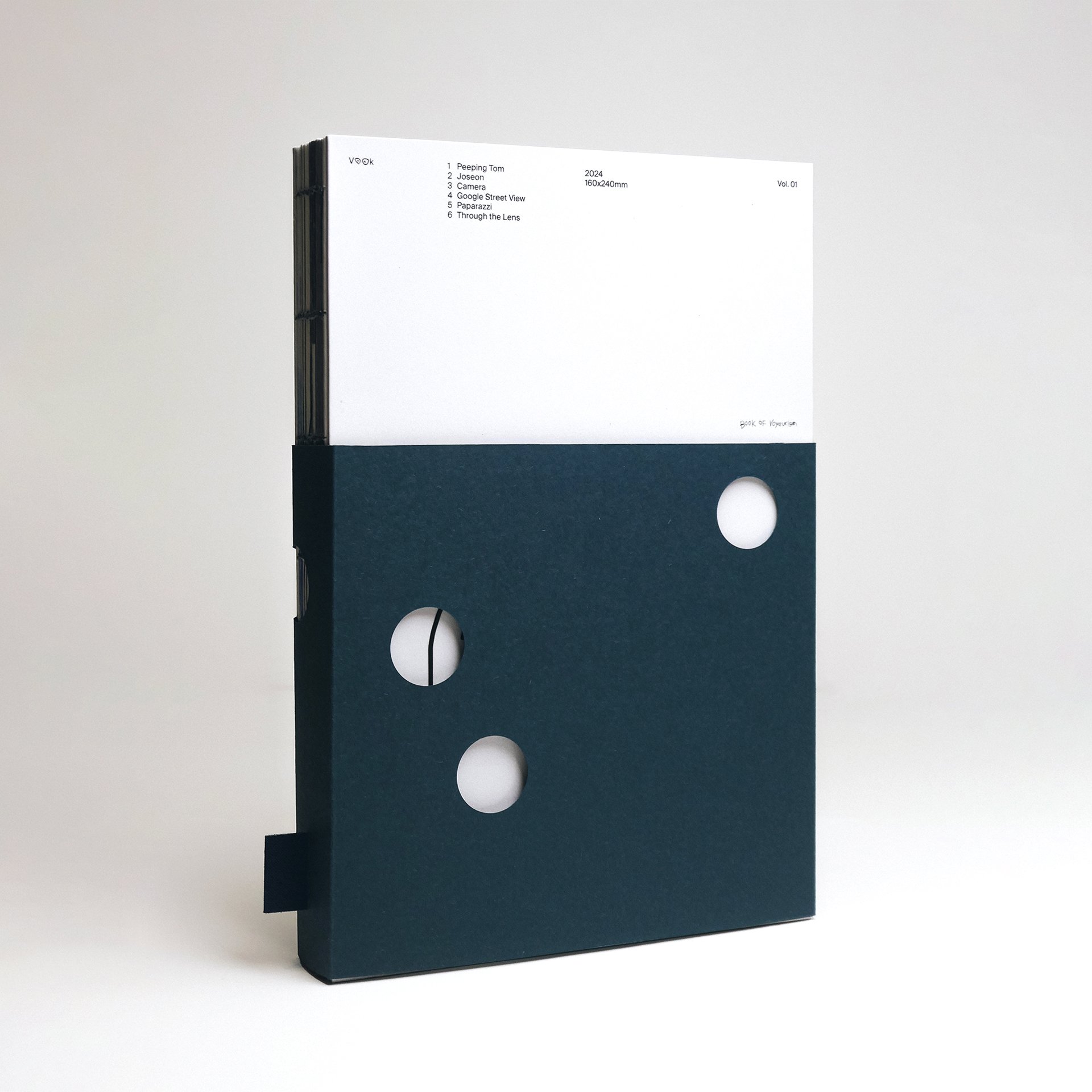 Vook: Book of Voyeurism