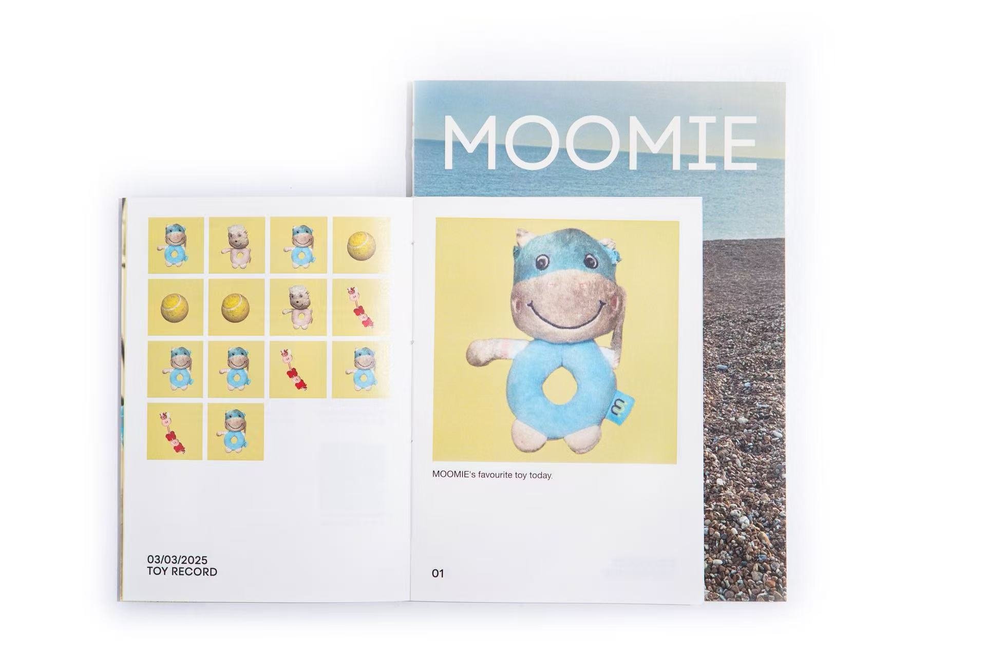 Deep Dive—MOOMIE