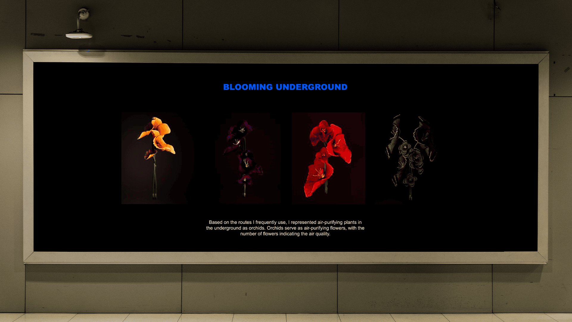 Blooming Underground