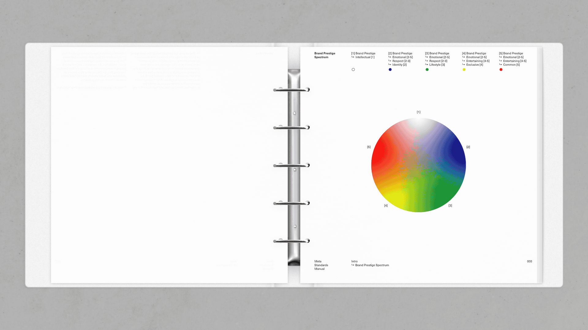 Meta Standards Manual