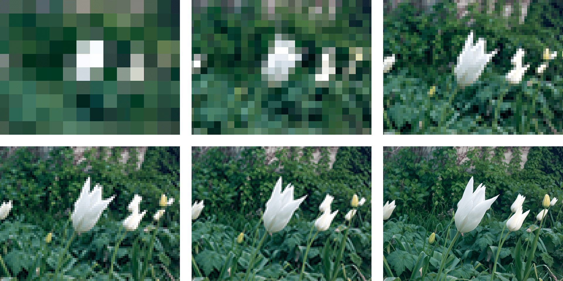 For the background, the goal was to make the image clearer as you move along, from being an abstract pixel artwork to a clear crisp image of a flower.
