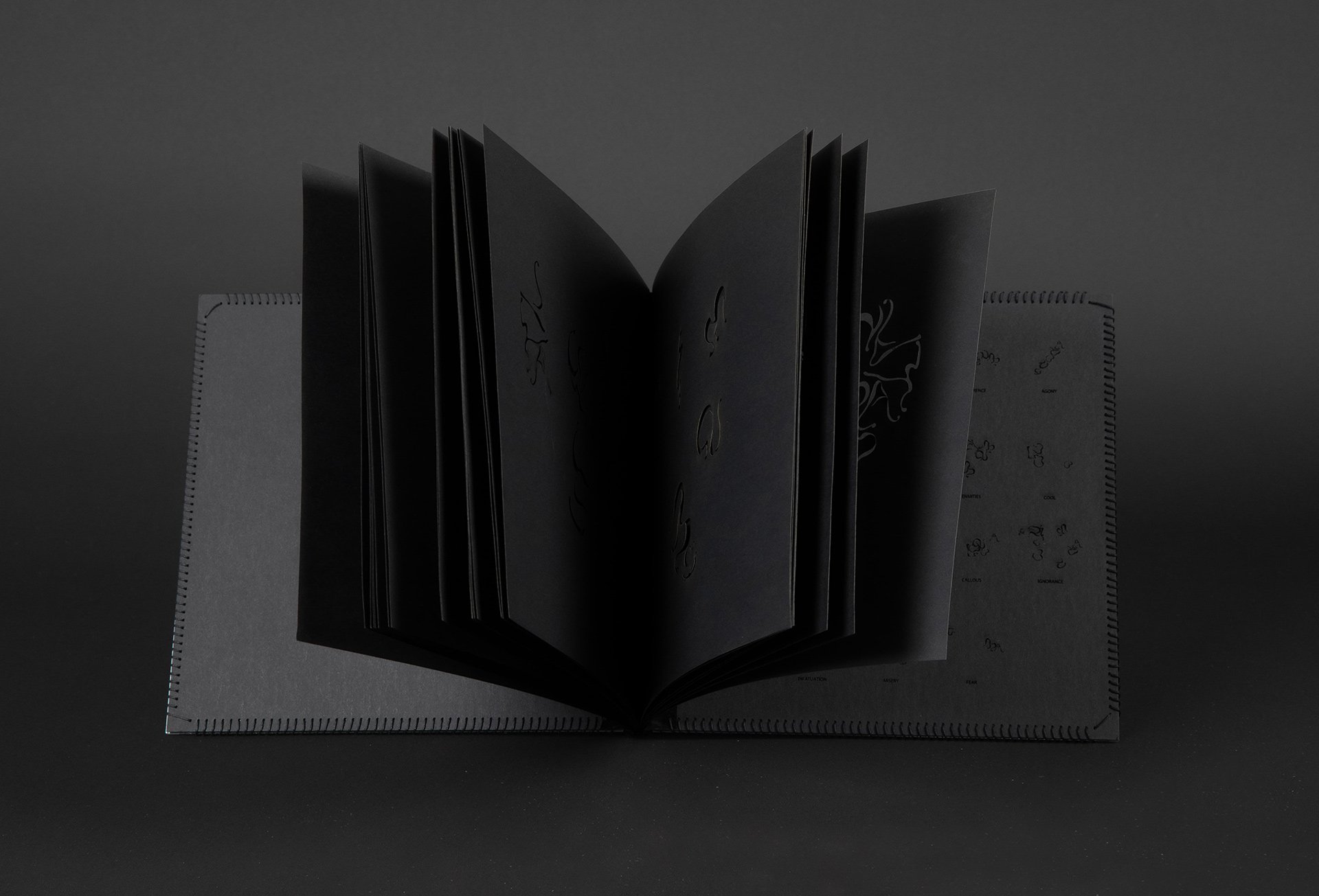 When readers reach the last page, they will understand these questions and discover how these opposites words make up a shape of heart, a heart that is twisted, blurred and indistinguishable.
