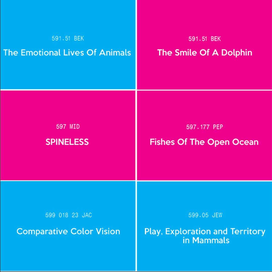 Judging Books by Their Titles (Two Points)