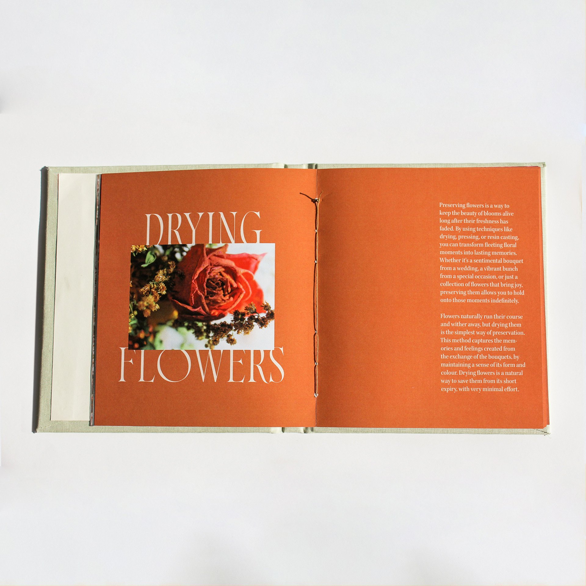 Anthology of Sentiments