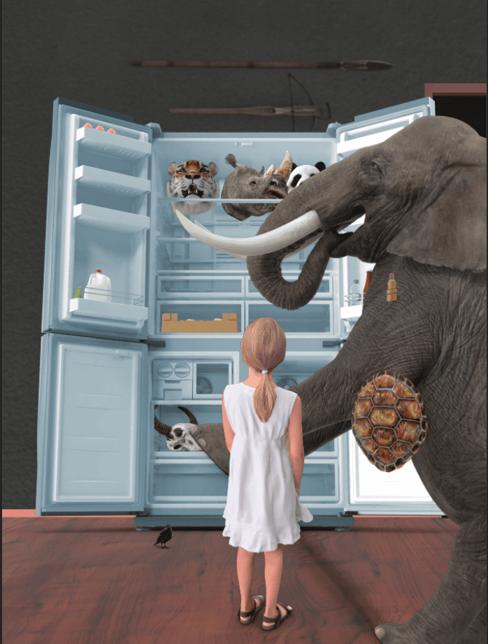 Animal Extinction