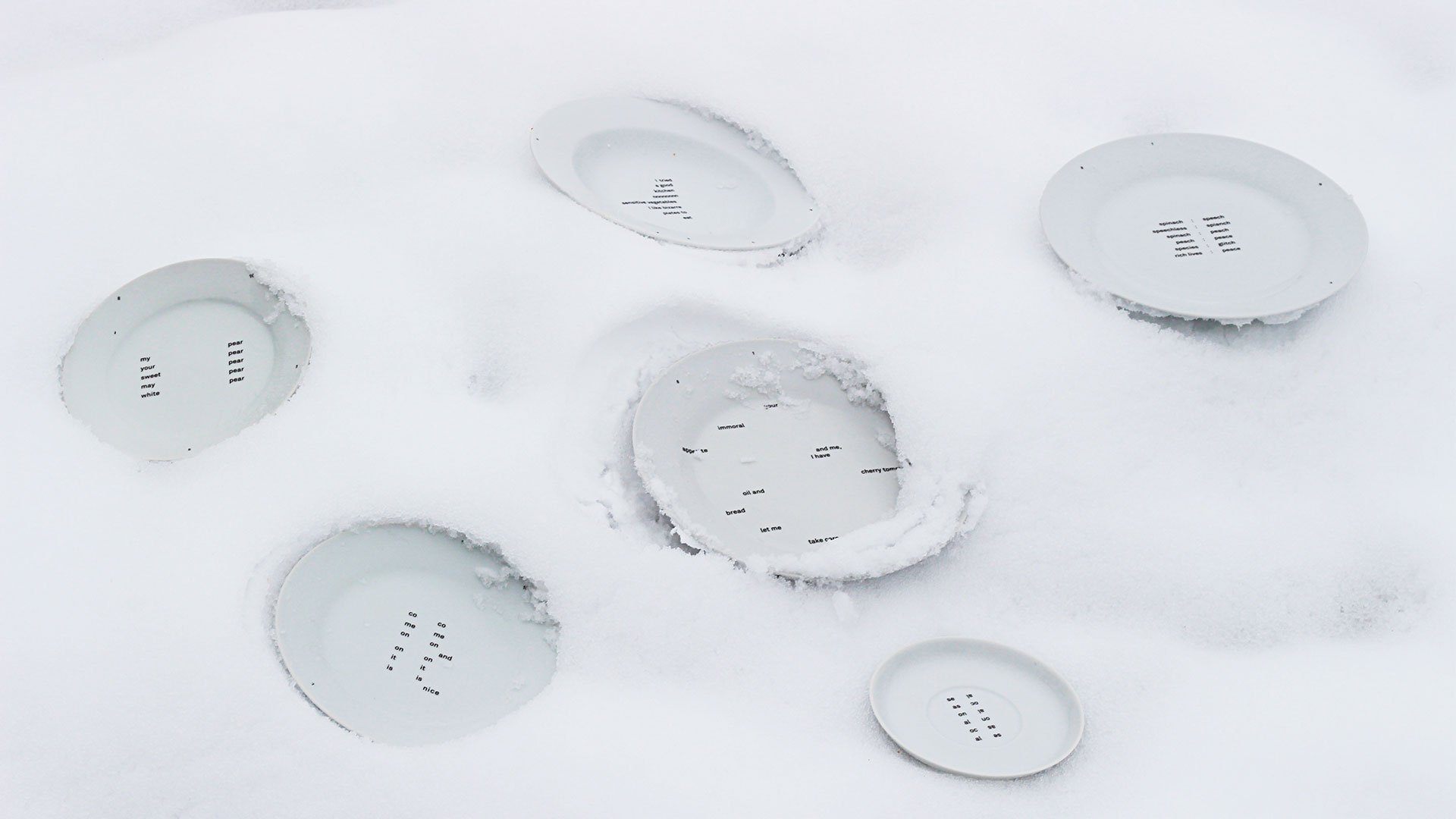 Plates for Plants