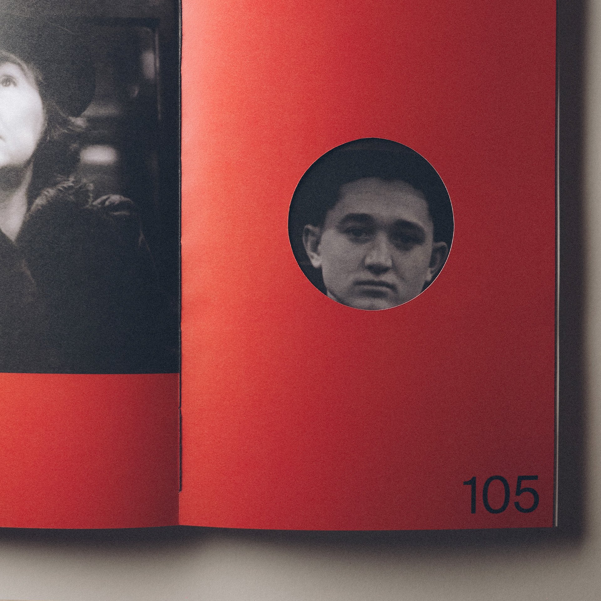 Vook: Book of Voyeurism