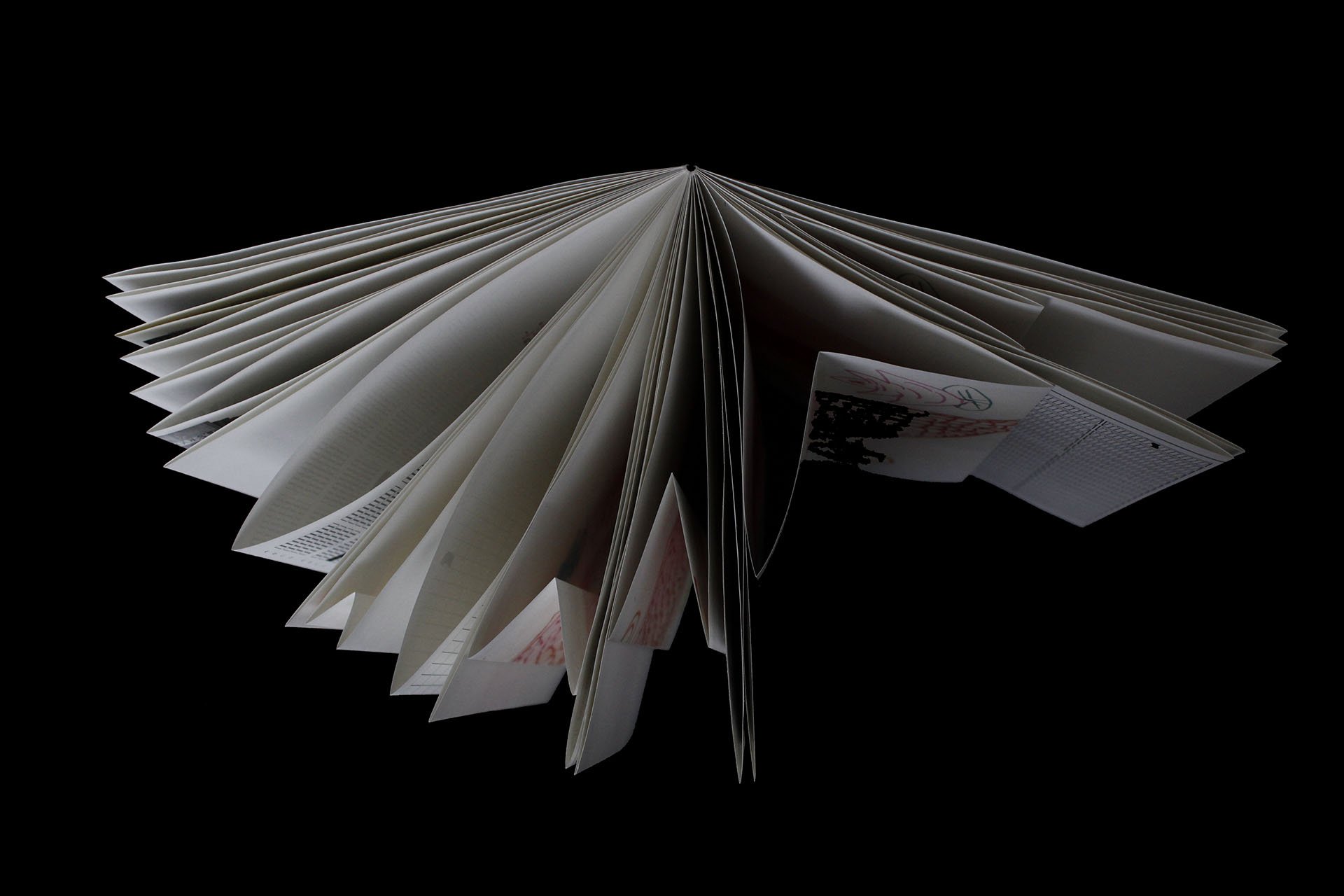 Bookshelf as a Metaphor