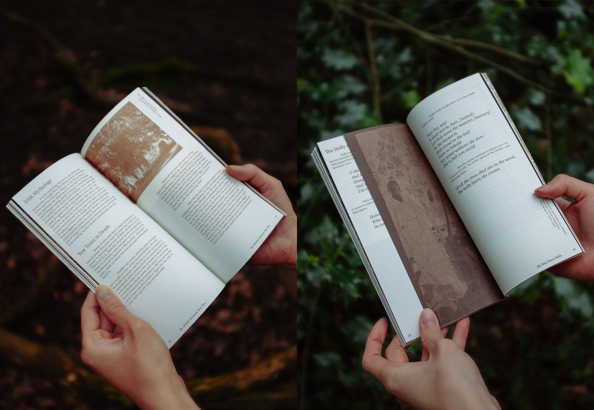Tales Beyond the Tree Line