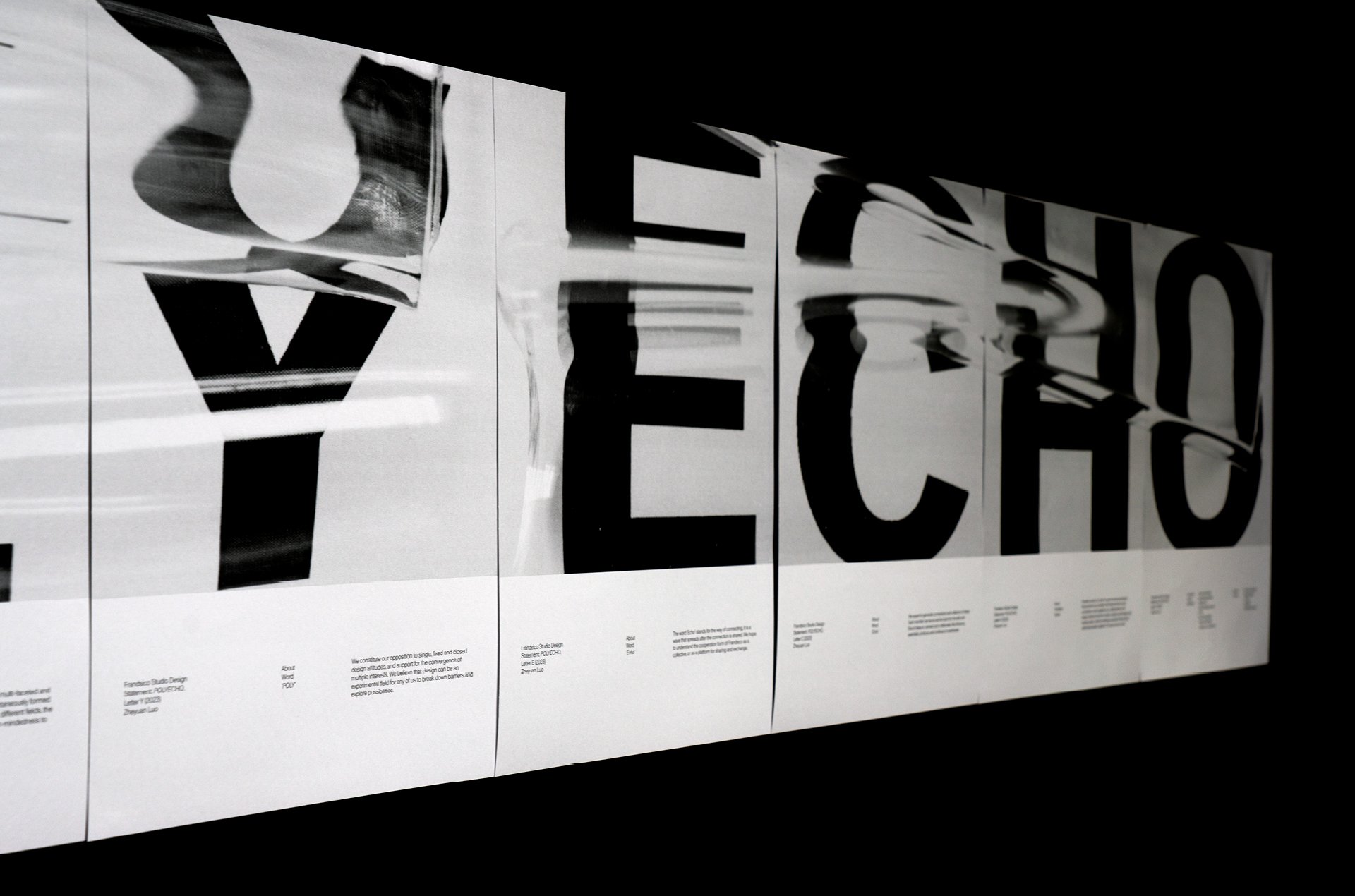 POLYECHO