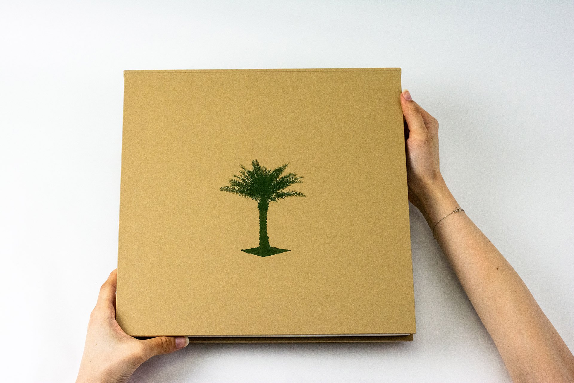 Palmscapes