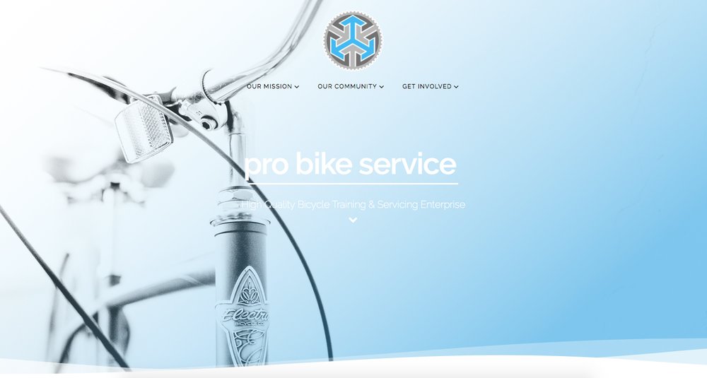 Angus Robertson & Joe Edwards designed a website for Pro Bike Service