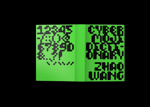 Zhao Wang show image