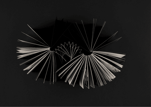 Leyan Chen (Elza) show image