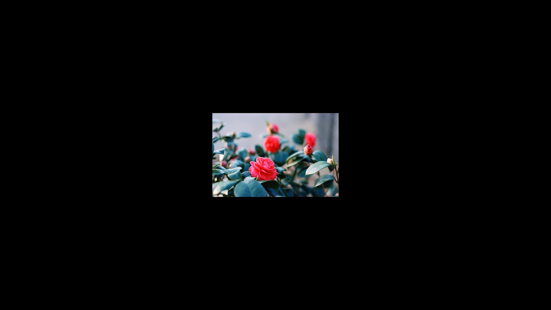 Refiguration