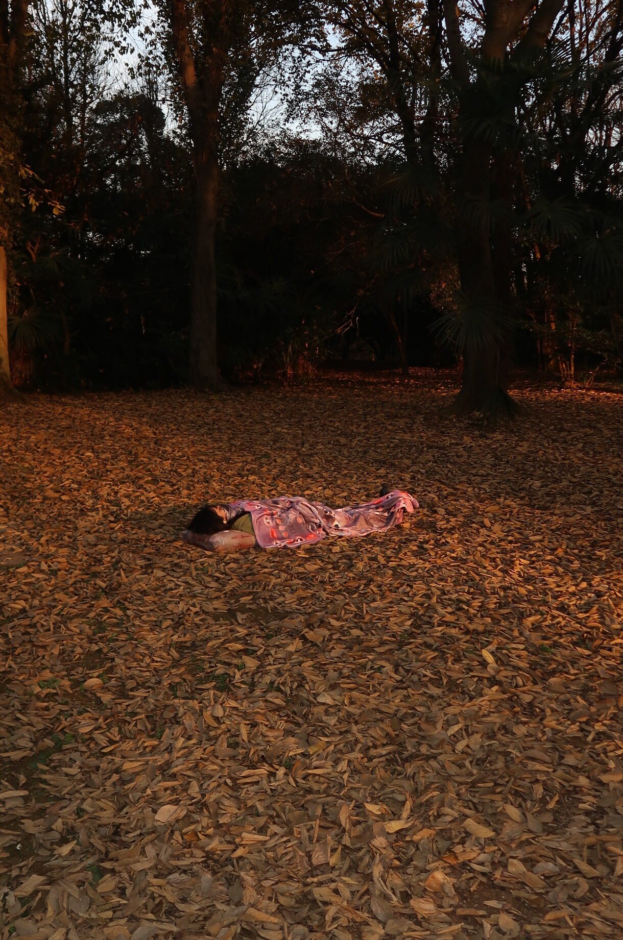 Body & Consciousness