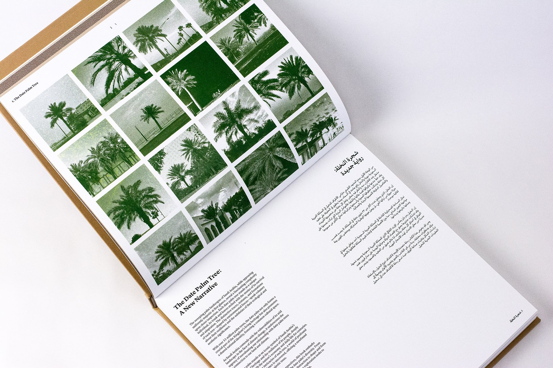 Palmscapes
