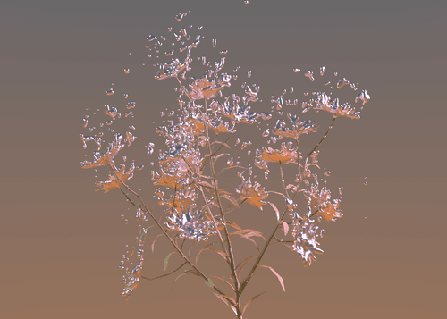 Monika Adamczyk show image