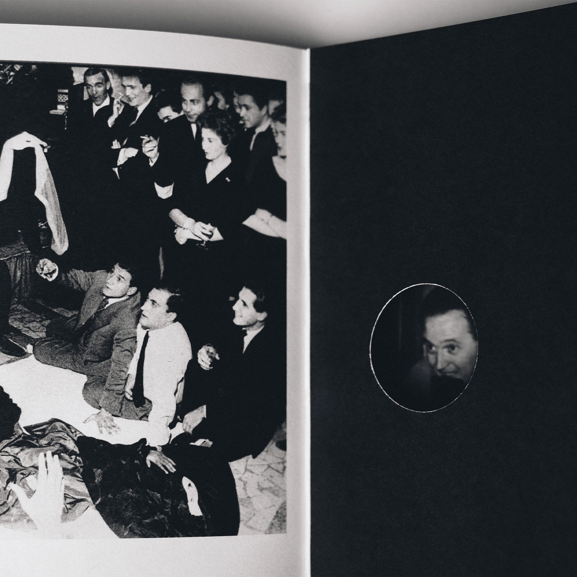 Vook: Book of Voyeurism