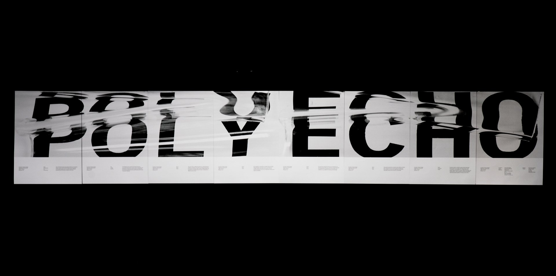 POLYECHO