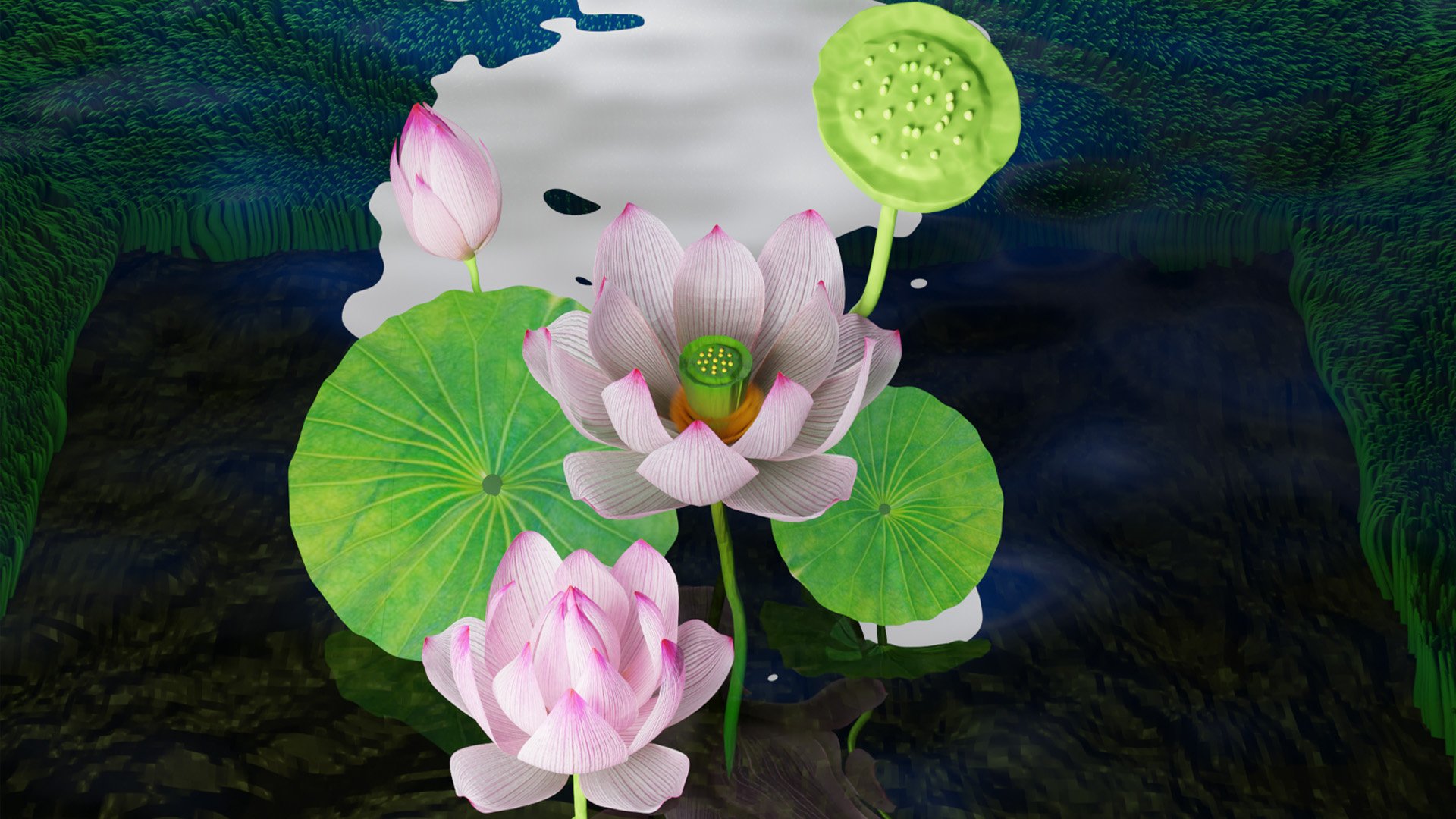 ‘On the Love of Lotus’