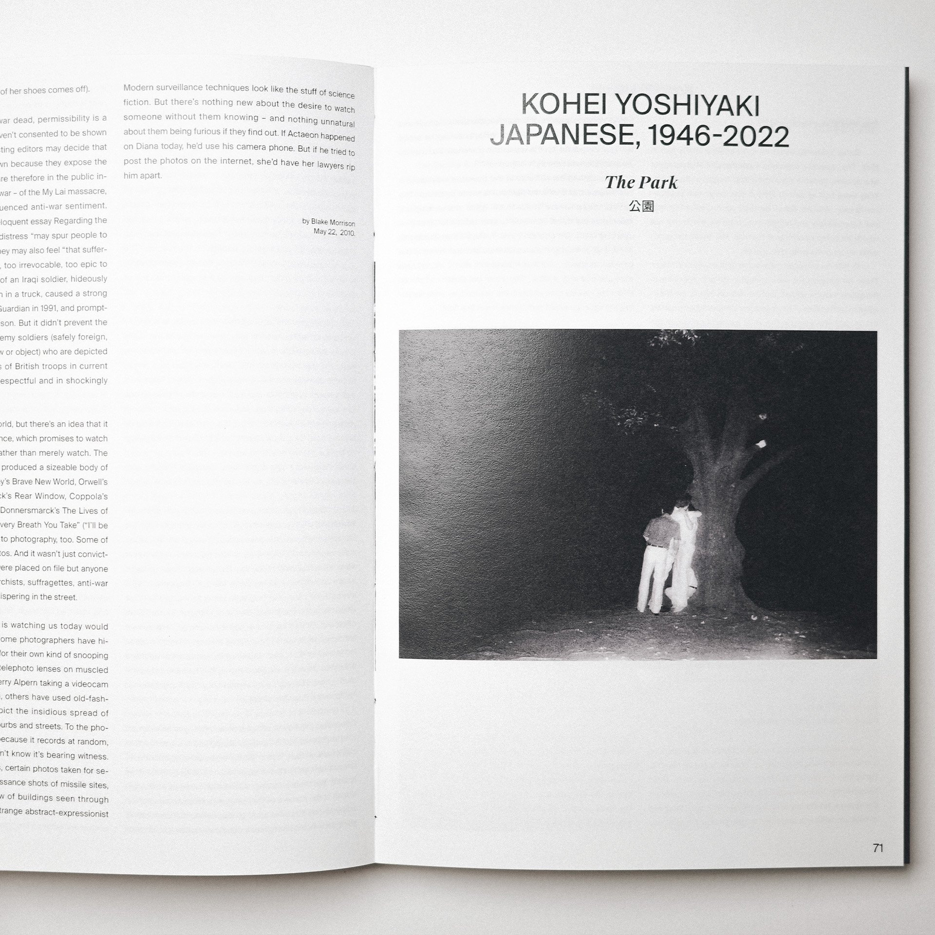 Vook: Book of Voyeurism