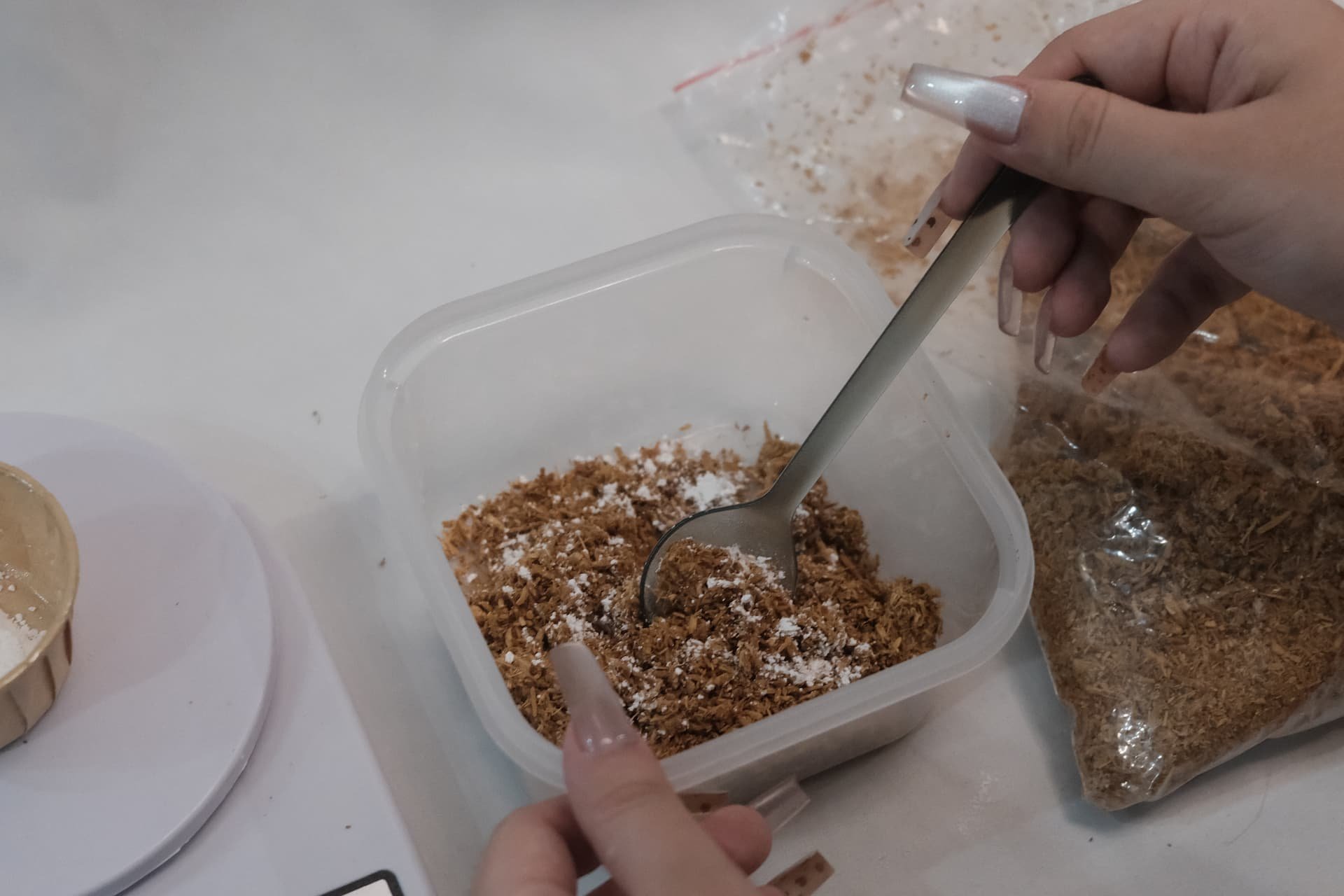 Experiments making the urn using mycelium.