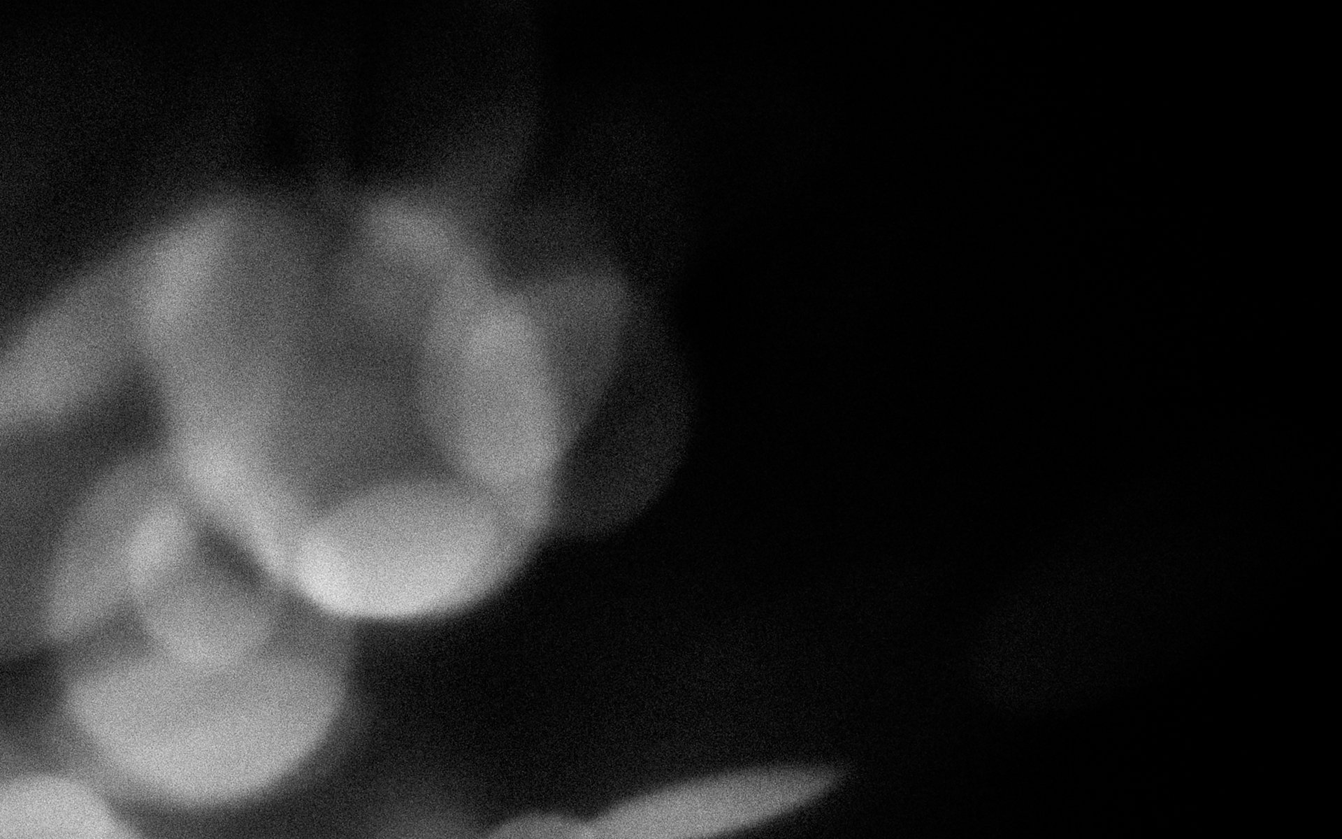 Dancing Light