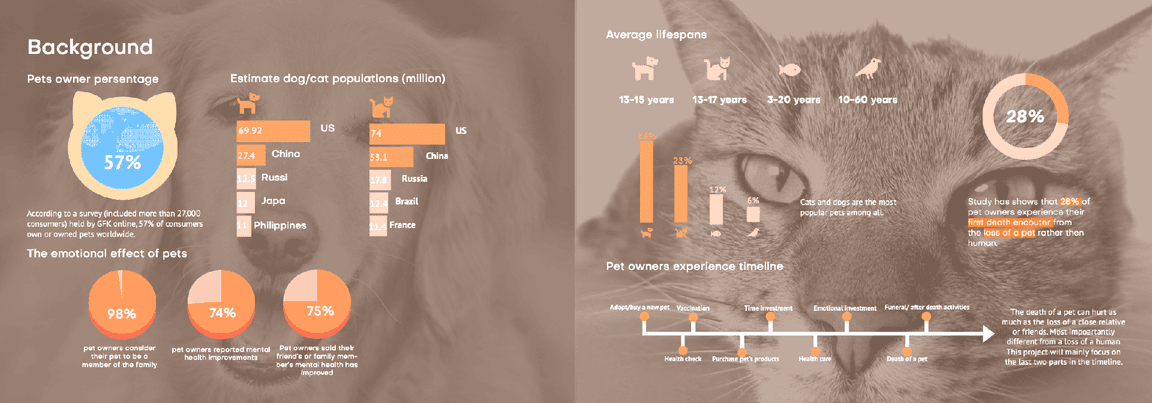 Coping with the Loss